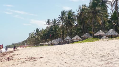 Beautiful Tropcial Beach In Zanzibar