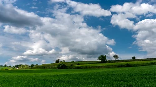 Rural landscape