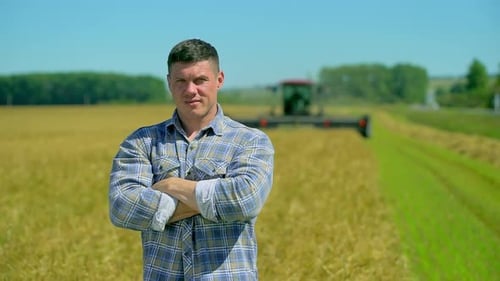 Combine Collecting Crops Farmer Man Wheat Harvest Harvesters Rye Field Rural Farming Agronomy