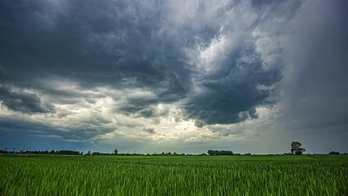 Timelapse Of Clouds Over Agricultural Field At Sunset