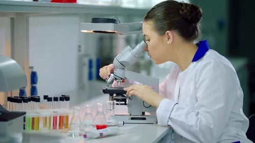 Scientist Working with Microscope in Laboratory Setting