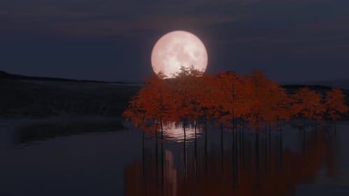 Seamless Loop Night Landscape of Nature at Full Moon with Lake and Trees with Orange Leaves