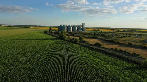 Modern Grain Silos At The Field Of Blooming Sunflowers 37