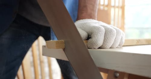 Carpenter workers working in workshop