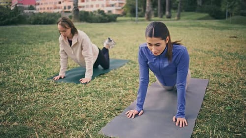 Athletic Women Push-ups in Park Workout