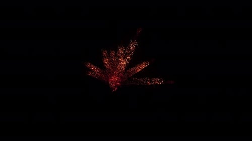 Abstract Particle Burst Dynamic Transition