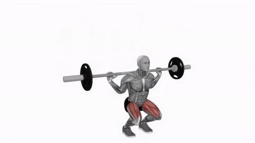 Animated Barbell Squat Exercise with Muscle Highlight
