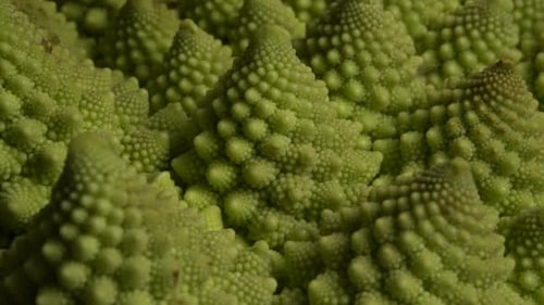 Romanesco Cauliflower