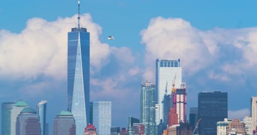 Bird Flying Across New York City NYC Skyline Beautiful Sky Aerial