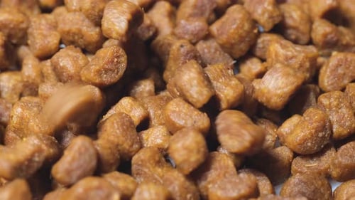 Closeup of Brown Pieces of Dry Dog Food Spinning in a Circle Macro Video