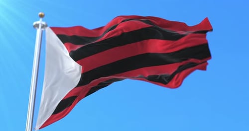 Realistic Flag Waving with Red Black Stripes and White Triangle