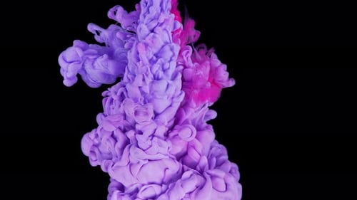 Ruhige rosa Tintenwolken auf dunkler Leinwand, rosafarbene und violette Tinte, gemischt mit Wasser, Zeitlupe, Schwarz