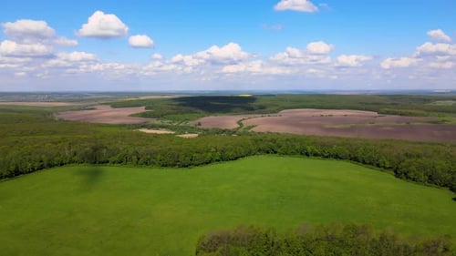 Aerial View of Green Farm Fields in Summer Season with Growing Crops Farming and Agriculture