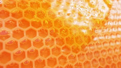 Honey on Honeycomb