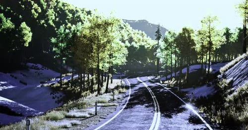 Scenic Winding Road Through Lush Forest with Sunlight Illuminating Trees
