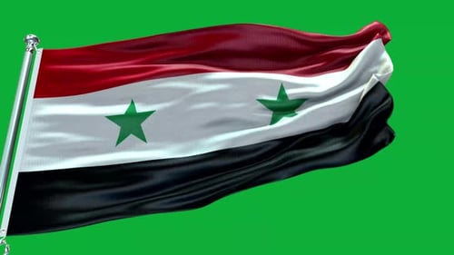 Realistic National Flag Waving Animation on Green Screen