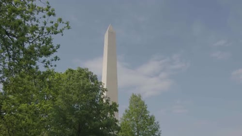 A revealing shot of the Washington Monument over some trees with a blue sky on a spring day.
