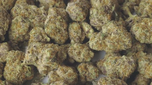 Langsamer Dolly Shot Marihuana-Vollbild-Hintergrund in Nahaufnahme