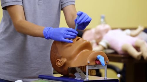 Medical Professional Demonstrates Intubation Procedure on Mannequin