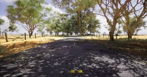Summer Afternoon on a Quiet Rural Road Surrounded By Green Trees