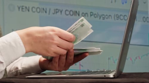 Closeup of Financial Cash Flow Data on PC Screen Counting Invoices Closeup Mortgage Chart Footage of