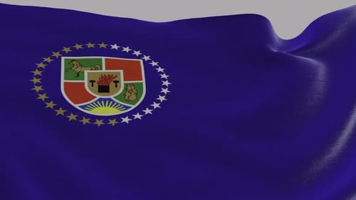 Realistic Waving Blue Flag with Detailed Coat of Arms