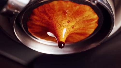Slow motion espresso drop forming after extraction stop, macro view of thick golden crema dripping