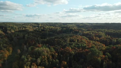 AERIAL: yellow and green autumn trees on a background of blue sky on a sunny day