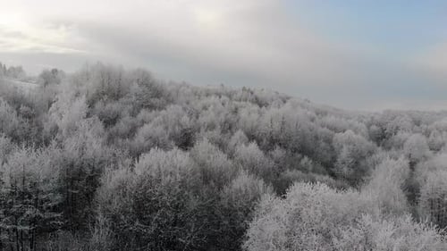Fantastischer Blick auf die Winterlandschaft aus der Luft, Baumwipfel im Frost, gefrorener Wald