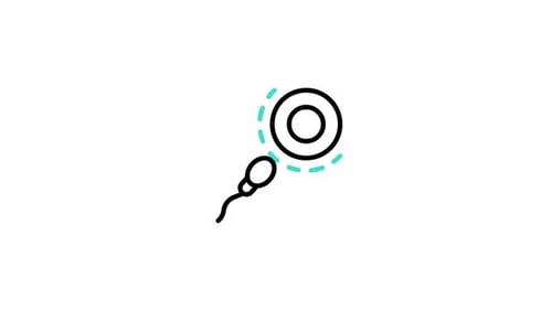 Sperm Cell Fertilization Animation with Ovum in Flat Design