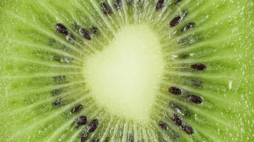 Close-up of Sliced, Fresh, Juicy Kiwi Fruit