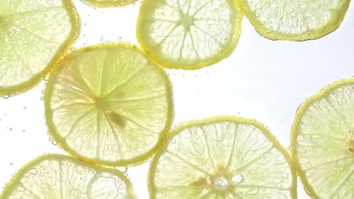Lemon Slices with Sparkling Water
