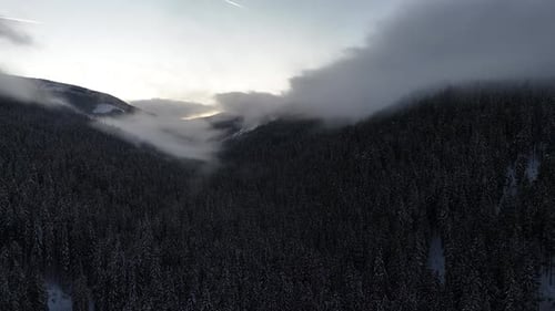 Wunderschöne Luftaufnahme eines Waldes im Winter mit Show bei Sonnenuntergang, bedeckt von Wolken auf einem Berg.