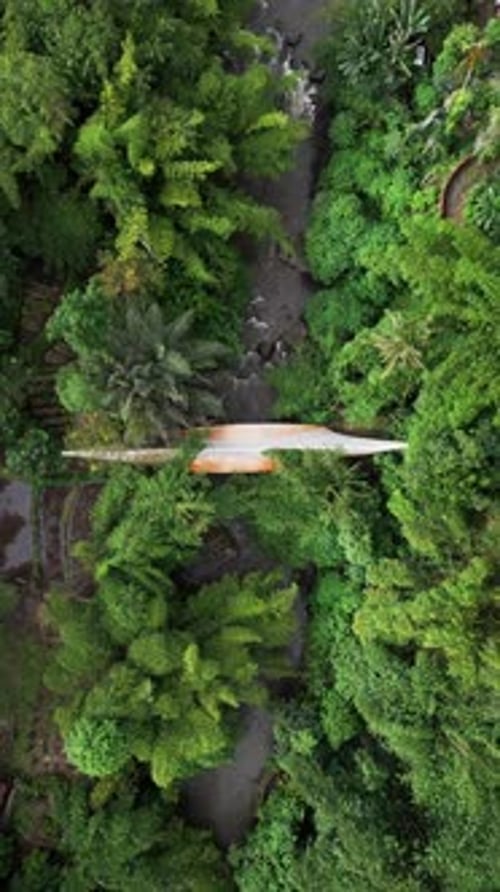 Vertical Overhead Scene of Bamboo Bridge Spanning Narrow Jungle River in Tropical Bali