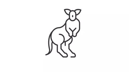 Animated Line Art Kangaroo Icon Drawing Animation