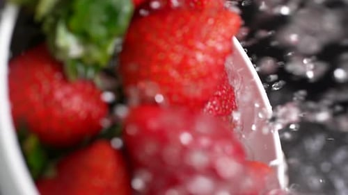 Washing Fresh Strawberries 57