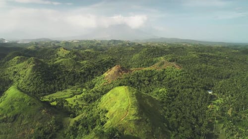 Aerial Philippines Hill Landscape Nobody Wild Nature with Green Tropic Forest Plant Grass Moss