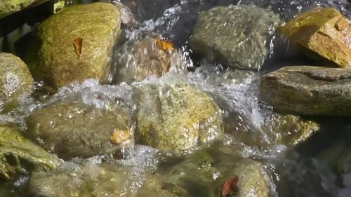 Close view of rounded stones and rocks in a small, quickly flowing stream of fresh, clear water.