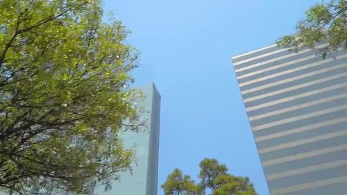 Bâtiments et arbres sur le Paseo de la Reforma.
