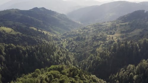 Sunlit Aerial Panorama of the Lush Carpathian Mountain Range