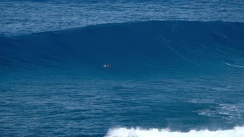 Surfing