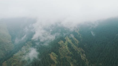 Fantastic Aerial Flight Through Clouds in the Mountains with Forest Below
