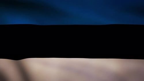 Realistic Waving Estonia Flag Loop Background