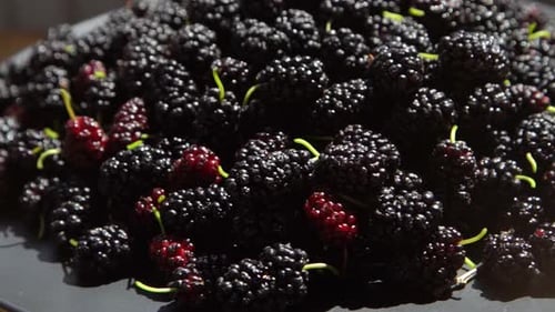 Morera en un tazón, cosecha de moras en verano, fruta, fondo alimenticio