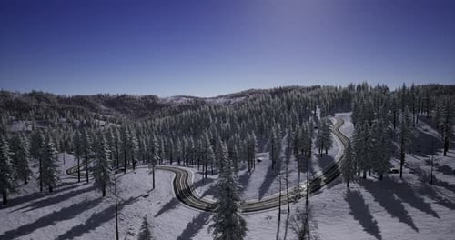Winding Road Through Snow Covered Forest on a Clear Winter Day
