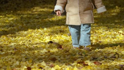 Little Kid Walking on Autumn Golden Fallen Leaves in a Park in Slow motion