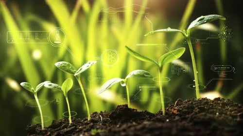 Plántulas que crecen en tierra oscura con íconos biotecnológicos futuristas