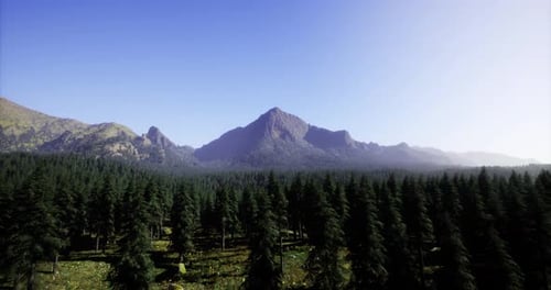 Stunning Mountain View with Dense Forest Under Clear Blue Sky in Daytime