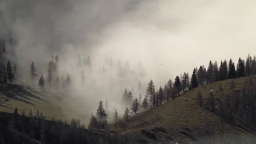 Moving Clouds in the forest in the mountains of the Alps