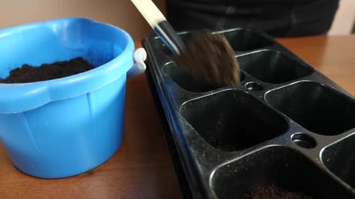 249p. Soil is added to the seedling tray with a spatula. The concept of gardening and horticulture.